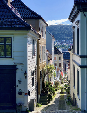 A local guide to Bergen